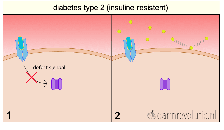 strip insuline resistentie