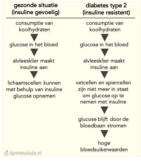 stroomschema diabetes type 2 insuline resistentie bloedsuikerwaarden